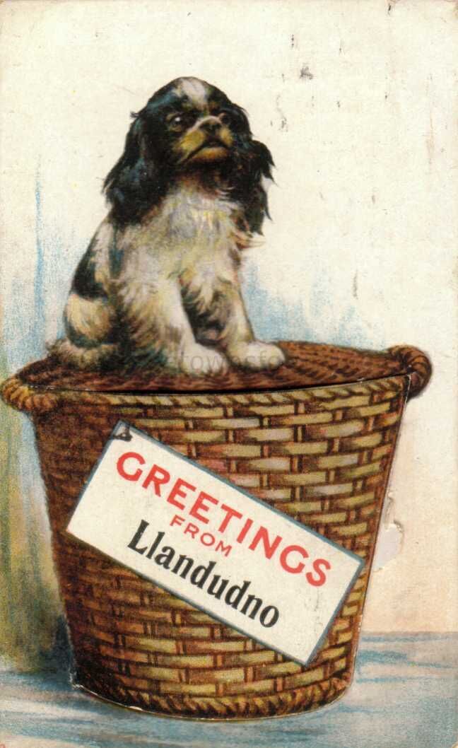 Greetings from Llandudno04
