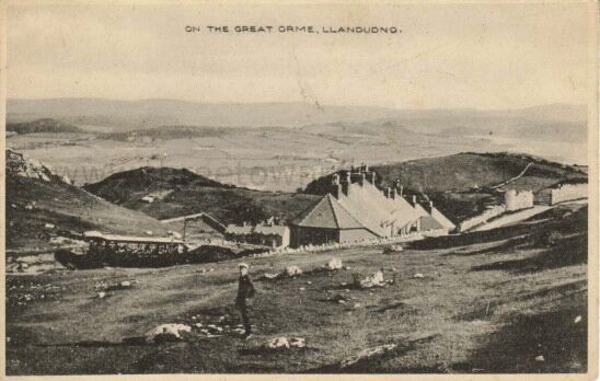On the Great Orme Llandudno05
