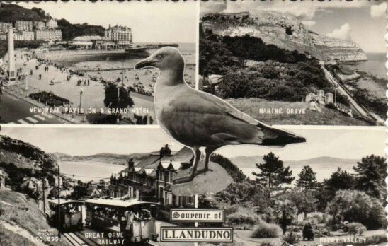 Souvenir of Llandudno02
