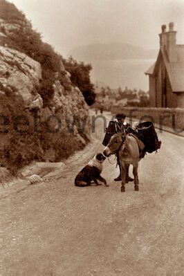 200601 donkey orme 0660
