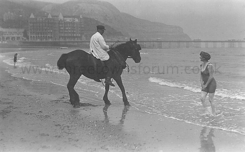 270915 horse on beach
