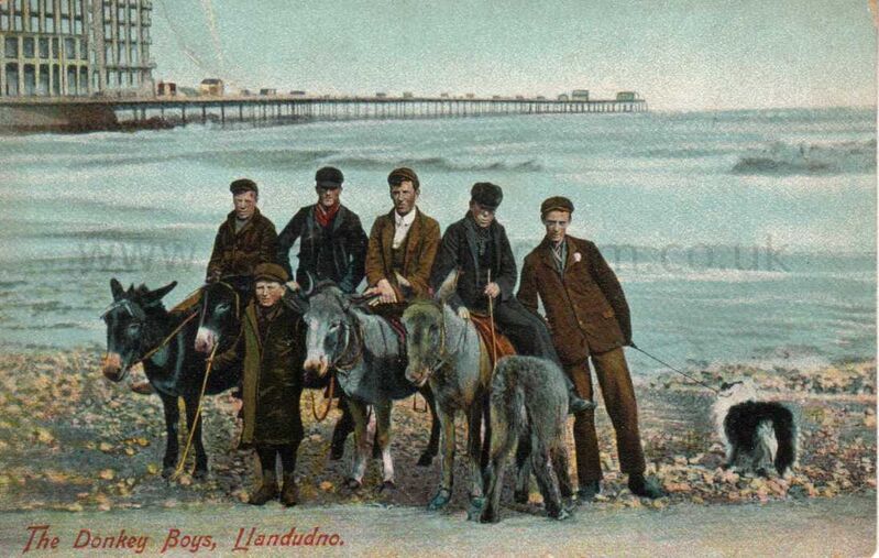 Donkey Boys Llandudno
