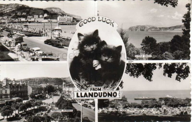 Good luck from Llandudno
