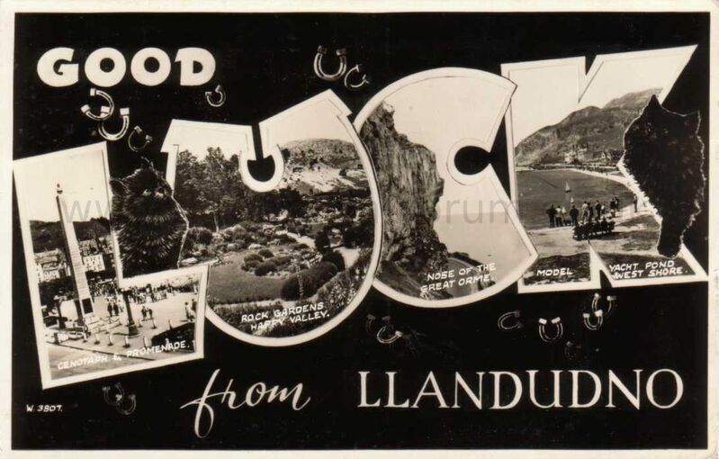 Good luck from Llandudno02
