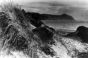Filename=100601_dunes_0386.jpg
Filesize=563KiB
Dimensions=2048x1365
Date added=Sep 14, 2023 100601_dunes_0386.jpg