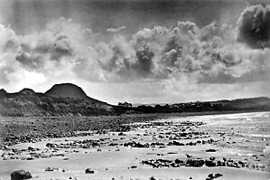 Filename=100601_dunes_0387.jpg
Filesize=438KiB
Dimensions=2048x1365
Date added=Sep 14, 2023 100601_dunes_0387.jpg