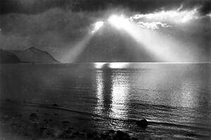 191013_sunlight_westshore_0011.jpg