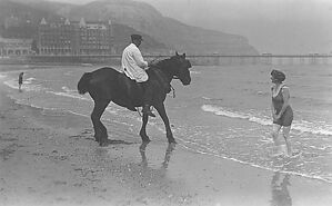 Filename=270915_horse_on_beach.jpg
Filesize=435KiB
Dimensions=2047x1266
Date added=Sep 14, 2023 270915_horse_on_beach.jpg