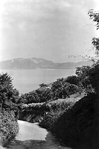 Filename=290819_little_orme_0097.jpg
Filesize=390KiB
Dimensions=1365x2048
Date added=Sep 14, 2023 290819_little_orme_0097.jpg