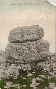 Filename=Cottage_Loaf_Gt_Orme_Llandudno.jpg
Filesize=89KiB
Dimensions=688x1090
Date added=Sep 14, 2023 Cottage_Loaf_Gt_Orme_Llandudno.jpg