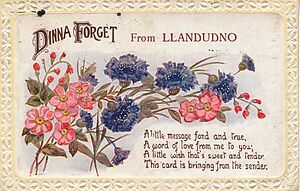Dinna_forget_from_Llandudno.jpg