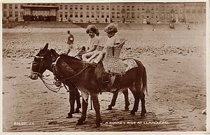 Filename=Donkey_ride_at_Llandudno.jpg
Filesize=87KiB
Dimensions=1088x701
Date added=Sep 14, 2023 Donkey_ride_at_Llandudno.jpg