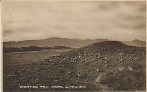 Eventide_West_Shore_Llandudno.jpg