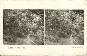 Gloddaeth_Woods_Llandudno02.jpg