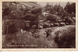 Goldfish_Pond_Happy_Valley_Llandudno.jpg