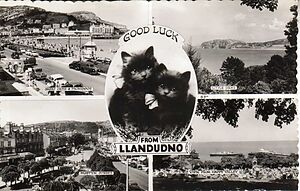 Good_luck_from_Llandudno.jpg