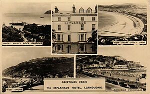 Filename=Greetings_from_the_Esplanade_Hotel_Llandudno.jpg
Filesize=91KiB
Dimensions=1106x690
Date added=Sep 14, 2023 Greetings_from_the_Esplanade_Hotel_Llandudno.jpg