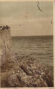 Gull_Corner_Llandudno02.jpg