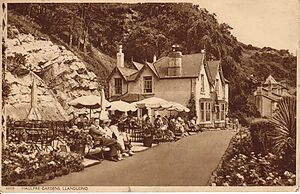 Filename=Haulfre_Gardens_Llandudno04.jpg
Filesize=113KiB
Dimensions=1096x709
Date added=Sep 14, 2023 Haulfre_Gardens_Llandudno04.jpg