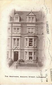 Filename=Hawthorn_Augusta_Street_Llandudno.jpg
Filesize=81KiB
Dimensions=680x1106
Date added=Sep 14, 2023 Hawthorn_Augusta_Street_Llandudno.jpg