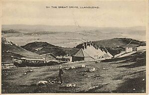 On_the_Great_Orme_Llandudno05.jpg