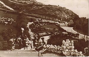 Filename=Rockery_and_Gardens_Llandudno.jpg
Filesize=81KiB
Dimensions=1072x690
Date added=Sep 14, 2023 Rockery_and_Gardens_Llandudno.jpg