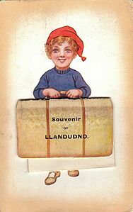 Filename=Souvenir_of_Llandudno.jpg
Filesize=58KiB
Dimensions=690x1096
Date added=Sep 14, 2023 Souvenir_of_Llandudno.jpg