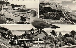 Filename=Souvenir_of_Llandudno02.jpg
Filesize=52KiB
Dimensions=548x348
Date added=Sep 14, 2023 Souvenir_of_Llandudno02.jpg