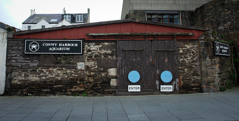CONWY HARBOUR AQUARIUM, CONWY QUAY
Now demolished and replaced by an Events Space
