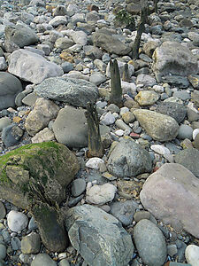 Filename=2175_Rhos_On_Sea_Remains_of_Fishing_Weir_jpg332ecc673b8cfbe7dc82c4258443a9ba_extjpg.jpg
Filesize=100KiB
Dimensions=450x600
Date added=Sep 14, 2023 2175_Rhos_On_Sea_Remains_of_Fishing_Weir_jpg332ecc673b8cfbe7dc82c4258443a9ba_extjpg.jpg
