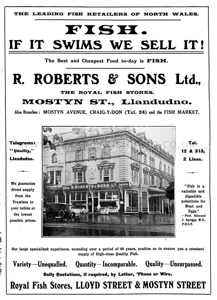 3164_Llandudno_Roberts_Fishmongers_Mostyn_Street_1921_jpg32b4bb2051b24fbdc7f4ae0f9edde413_extjpg.jpeg