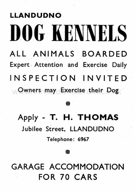 4699_1954_DOG_KENNELS_jpgdb6734968b4bb14ddac94055a18f6b73_extjpg.jpeg