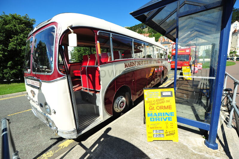 MARINE DRIVE TOUR, LLANDUDNO 2010
Leyland Tiger Cub Coach
