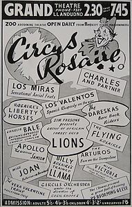 Filename=1170_grand_theatre_circus_rosaire_1950s_jpgdd42c9b921caa7a520c445a4b5d8ce55_extjpg.jpeg
Filesize=150KiB
Dimensions=655x1024
Date added=Sep 30, 2023 1170_grand_theatre_circus_rosaire_1950s_jpgdd42c9b921caa7a520c445a4b5d8ce55_extjpg.jpeg