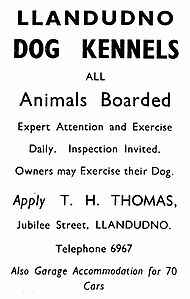 Filename=4666_1941_LLANDUDNO_KENNELS_jpg9eb510695eb955d932cbb71be75bc4bb_extjpg.jpeg
Filesize=59KiB
Dimensions=507x799
Date added=Sep 30, 2023 4666_1941_LLANDUDNO_KENNELS_jpg9eb510695eb955d932cbb71be75bc4bb_extjpg.jpeg