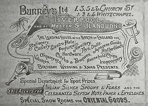 48_bunneys_back_cover_jpgf1b3cffc210871d3b299f375a49944fc_extjpg.jpeg