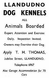 Filename=4963_1941_LLANDUDNO_KENNELS_jpg9eb510695eb955d932cbb71be75bc4bb_extjpg.jpeg
Filesize=59KiB
Dimensions=507x799
Date added=Sep 30, 2023 4963_1941_LLANDUDNO_KENNELS_jpg9eb510695eb955d932cbb71be75bc4bb_extjpg.jpeg