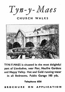6250_1954_TYN_Y_MAES_jpga6b1abcd102cce8582dc41d9138d20a5_extjpg.jpeg