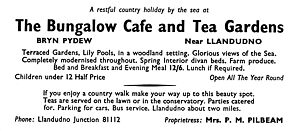 1954_BUNGALOW_CAFE.jpg