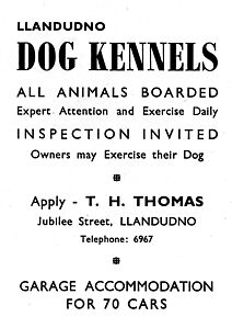 1954_DOG_KENNELS.jpg