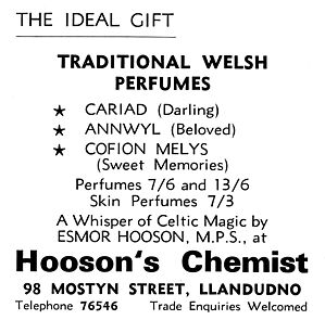 Filename=1960_HOOSONS.jpg
Filesize=124KiB
Dimensions=891x879
Date added=Sep 14, 2023 1960_HOOSONS.jpg